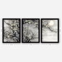 Wallity Cuadro Decorativo Enmarcado Desconocido 3SC118 (3 Piezas)